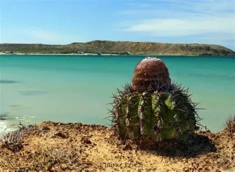 Galería ecosistemas 1