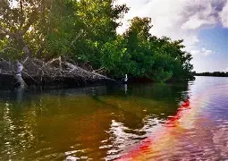 Galería ecosistemas 8