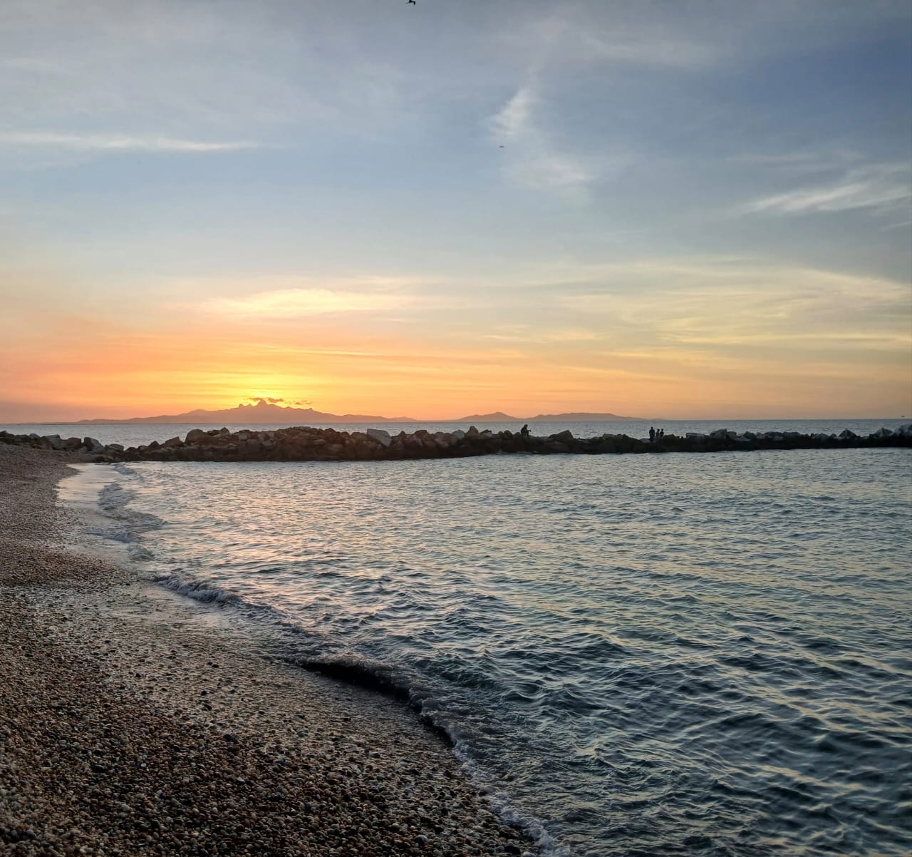 Galería ecosistemas 8