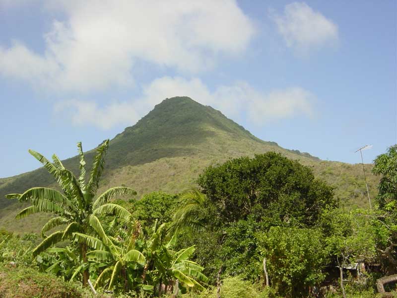 Bosques Tropífilos — Cerro Copey