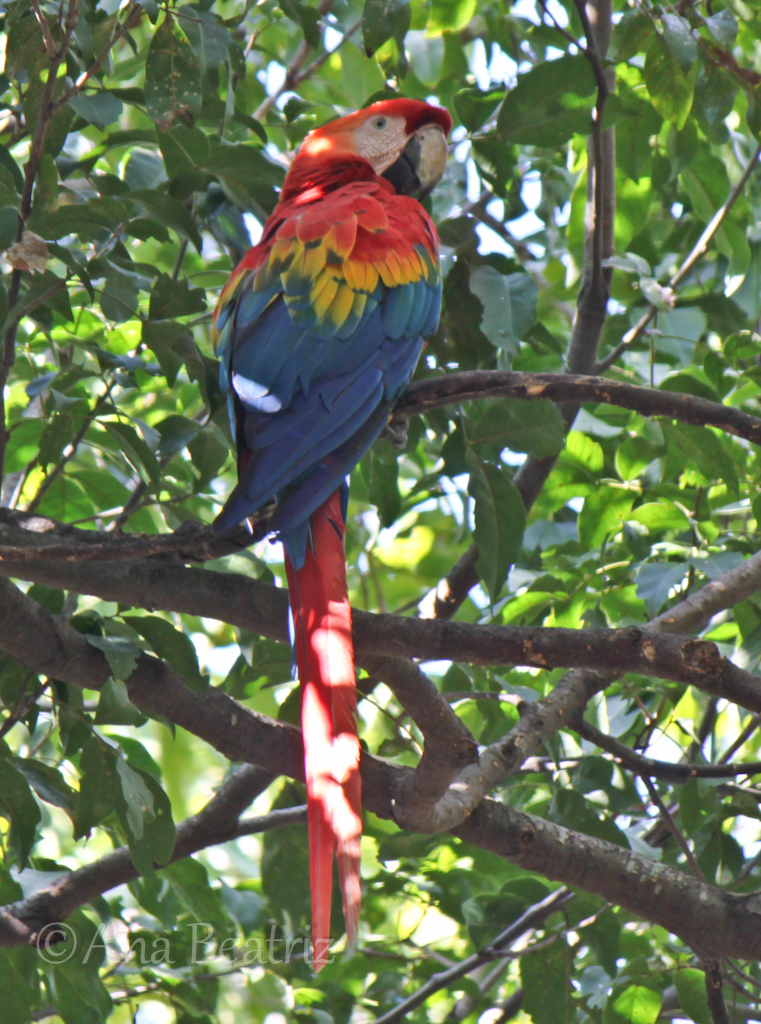 Galería fauna 7